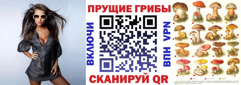 Галлюциногенные грибы Psilocybe  мориарти формула  Новая Ладога 